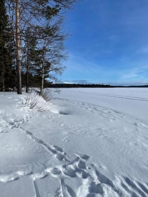 Siljonranta Villa Muonio Kültér fotó